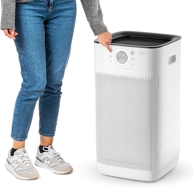 RIS USA WOOZOO Air Purifier for Home Large Rooms Bedroom with H13 True HEPA Filter, Remove Up to 99.97% of Particles Pollen Pet Dander Smoke Odor with Auto Mode and Air Quality Indicator, 2,550 ft²
